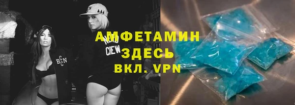 гидра Аркадак